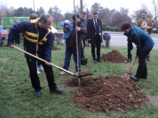 Plantari arbori Manastur